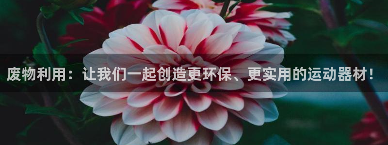 意昂体育4招商电话地址是多少:废物利用:让我们一起创造更环保