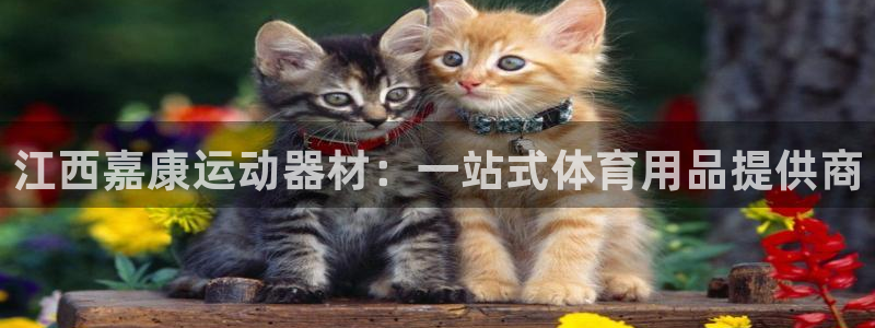 意昂体育4招商电话:江西嘉康运动器材:一站式体育用品提供商