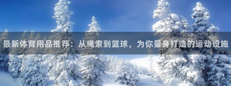 意昂体育4官方客服电话:最新体育用品推荐:从绳索到篮球,为你