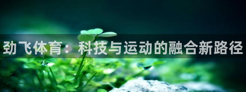 意昂4官网:劲飞体育:科技与运动的融合新路径