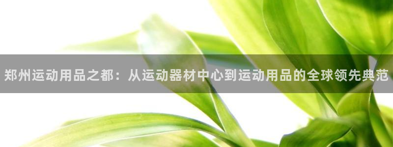 意昂体育4平台注册流程图:郑州运动用品之都:从运动器材中心到